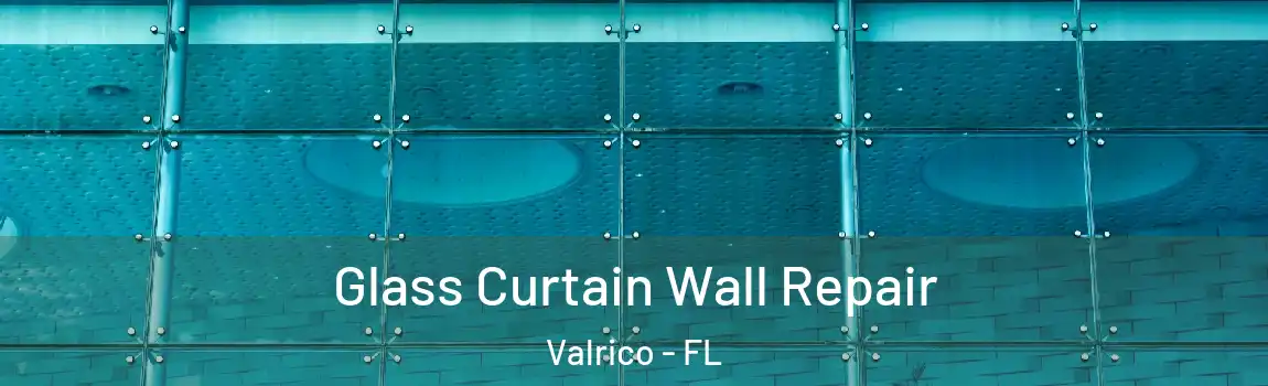  Glass Curtain Wall Repair Valrico - FL
