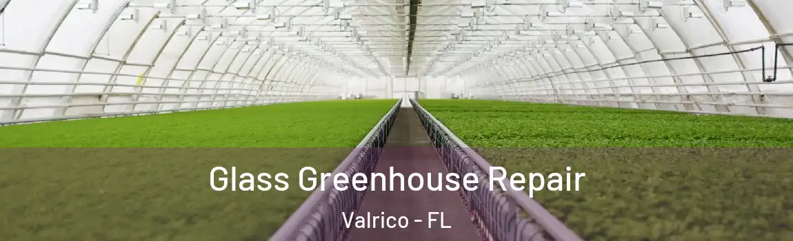  Glass Greenhouse Repair Valrico - FL