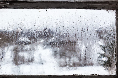 Defogging Double Pane Windows in Valrico, FL