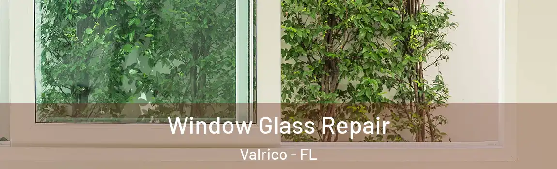  Window Glass Repair Valrico - FL
